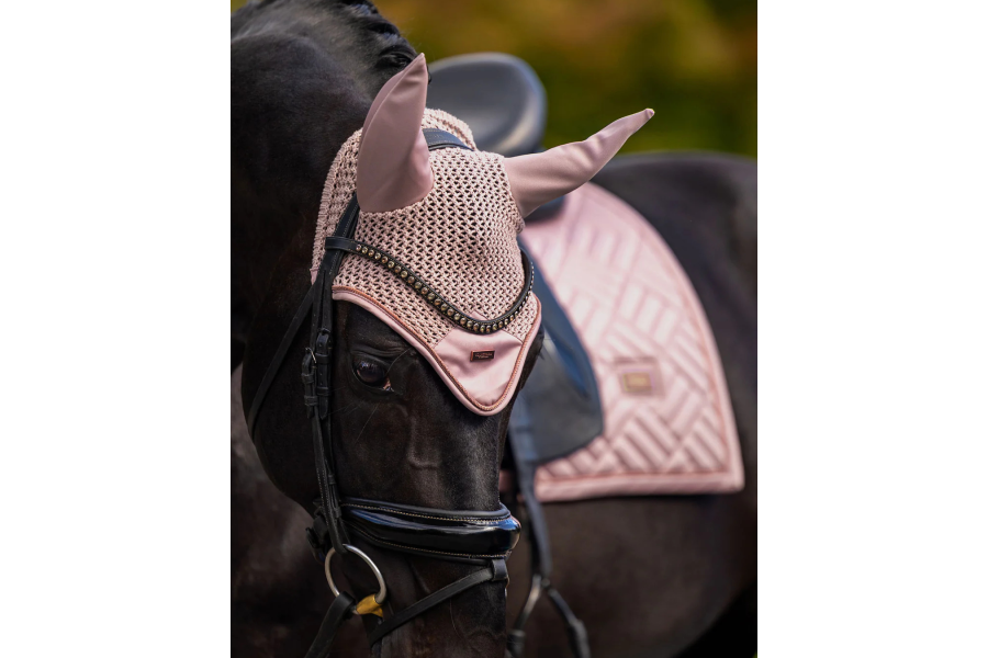 Orelleres Equestrian Stockholm Modern Midsummer...
