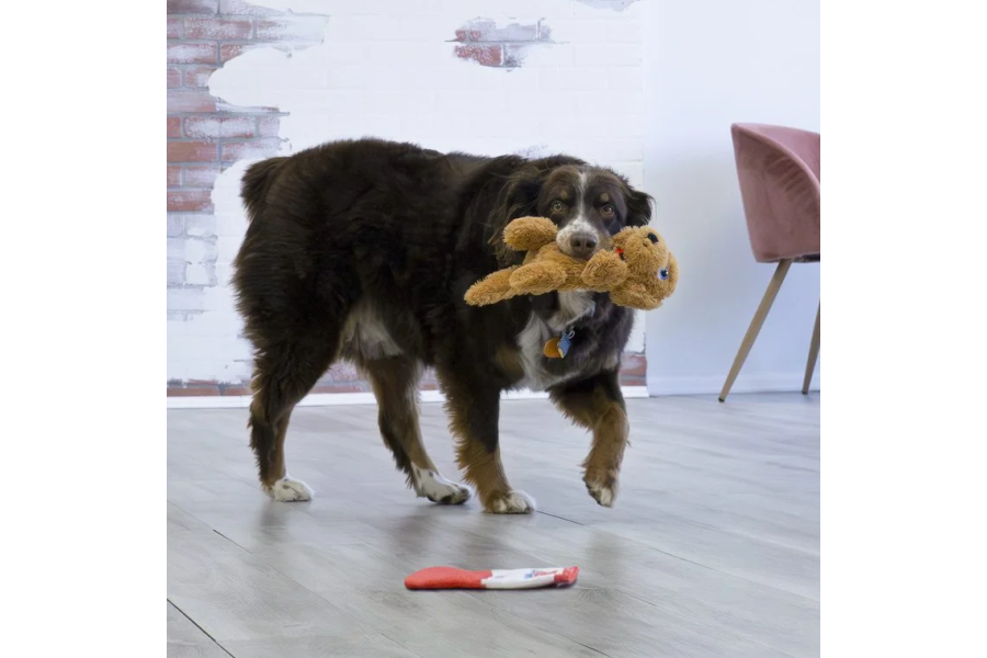 Joguina Gos Kong Comfort Pups Glodie