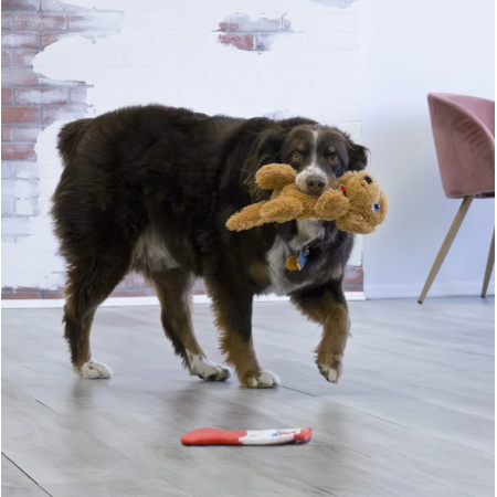 Juguete Perro Kong Comfort Pups Glodie