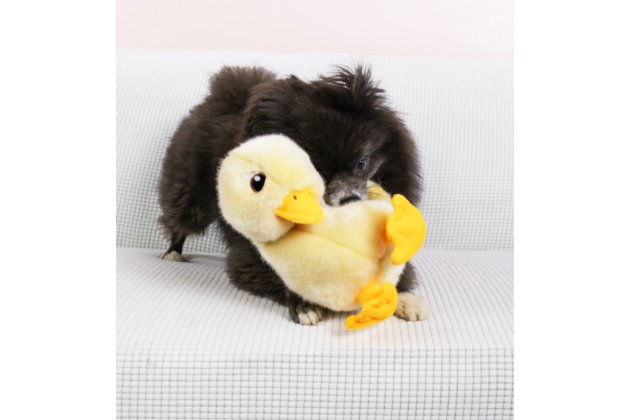 Juguete Perro Kong Toughz Duck