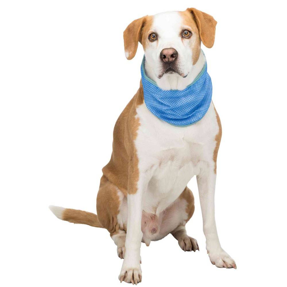 Bandana Refrescante PVA Trixie para perros | Calvet Animales y Plantas