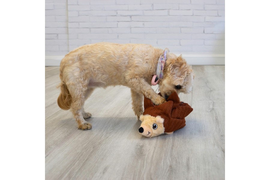 Juguete Perro Kong Layerz Forage Erizo