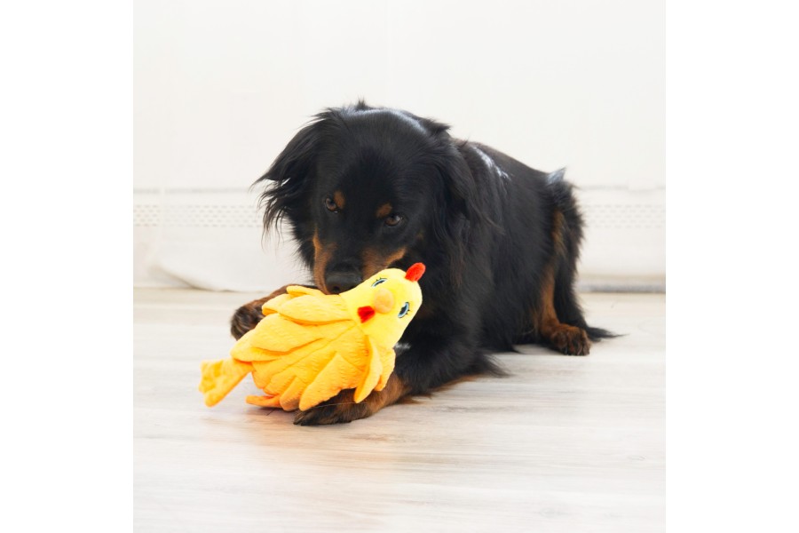 Juguete Perro Kong Layerz Forage Gallina