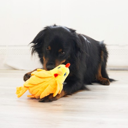 Juguete Perro Kong Layerz Forage Gallina