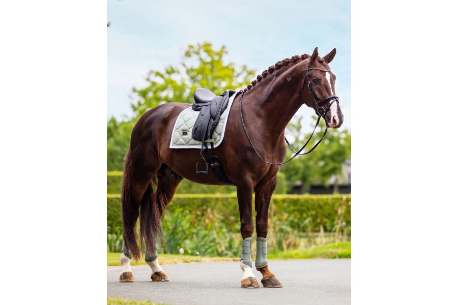 Sudadero Doma Equestrian Stockholm Pistachio Blanco