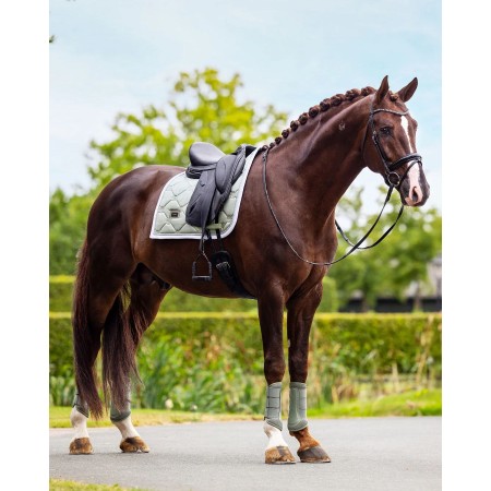 Sudadero Doma Equestrian Stockholm Pistachio Blanco