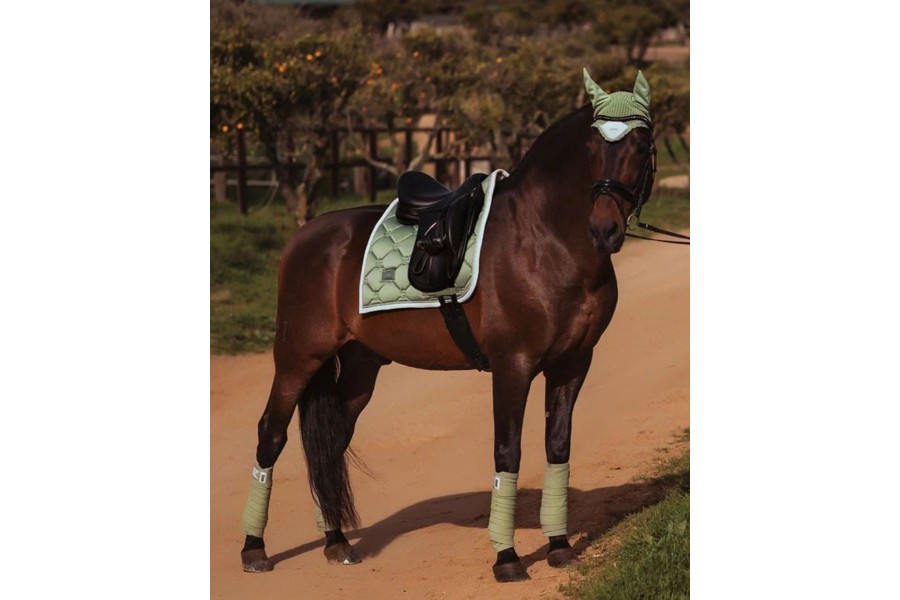 Suador Doma Equestrian Stockholm Pistachio/Blanc