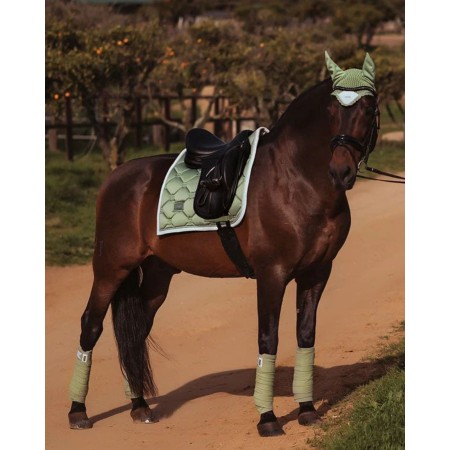 Sudadero Doma Equestrian Stockholm Pistachio Blanco
