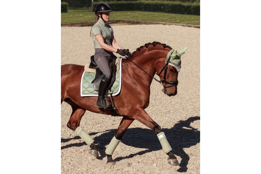 Sudadero Doma Equestrian Stockholm Pistachio Blanco