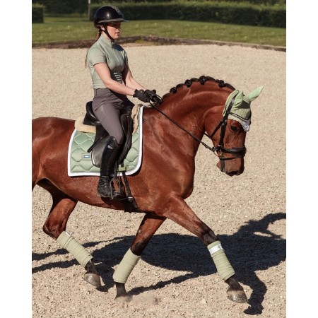 Sudadero Doma Equestrian Stockholm Pistachio Blanco
