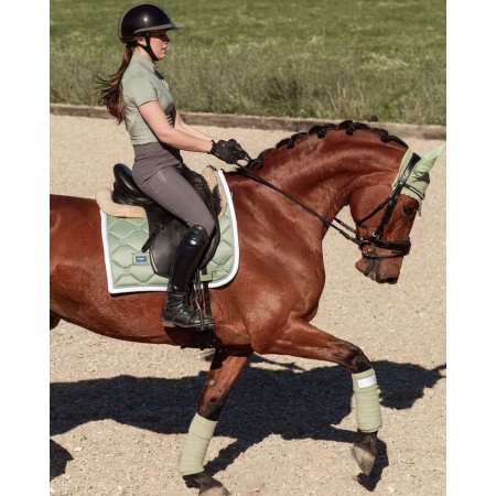 Sudadero Doma Equestrian Stockholm Pistachio Blanco