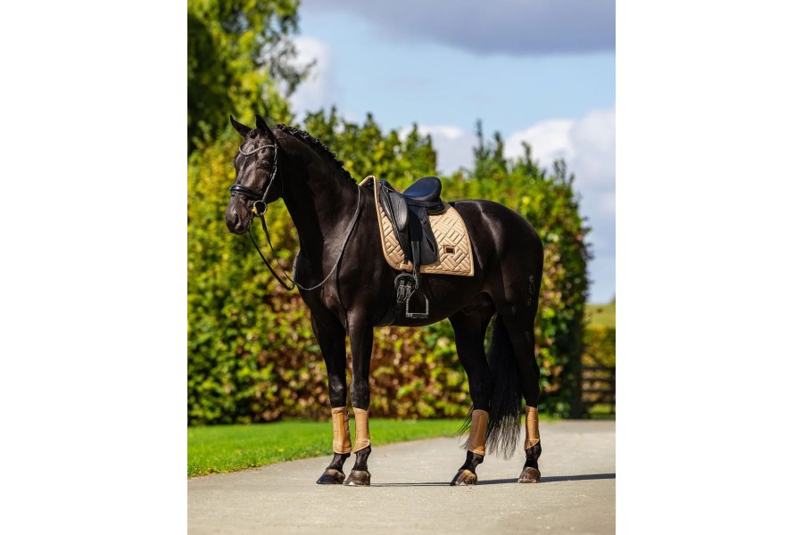 Sudadero Doma Equestrian Stockholm Modern Midsummer Glow