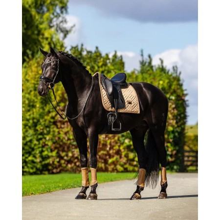 Sudadero Doma Equestrian Stockholm Modern Midsummer Glow