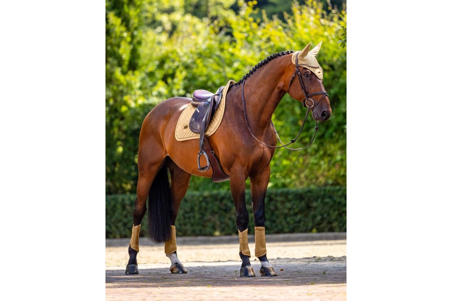 Sudadero Salto Equestrian Stockholm Modern Midsummer Glow