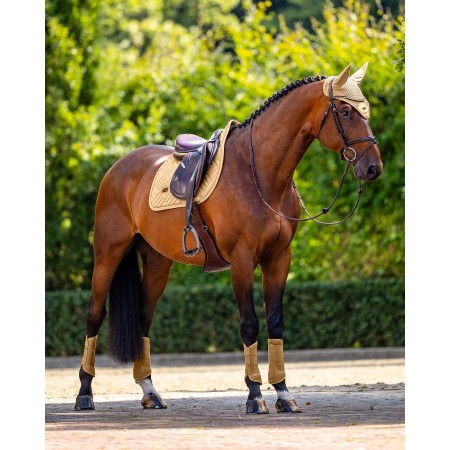 Sudadero Salto Equestrian Stockholm Modern Midsummer Glow