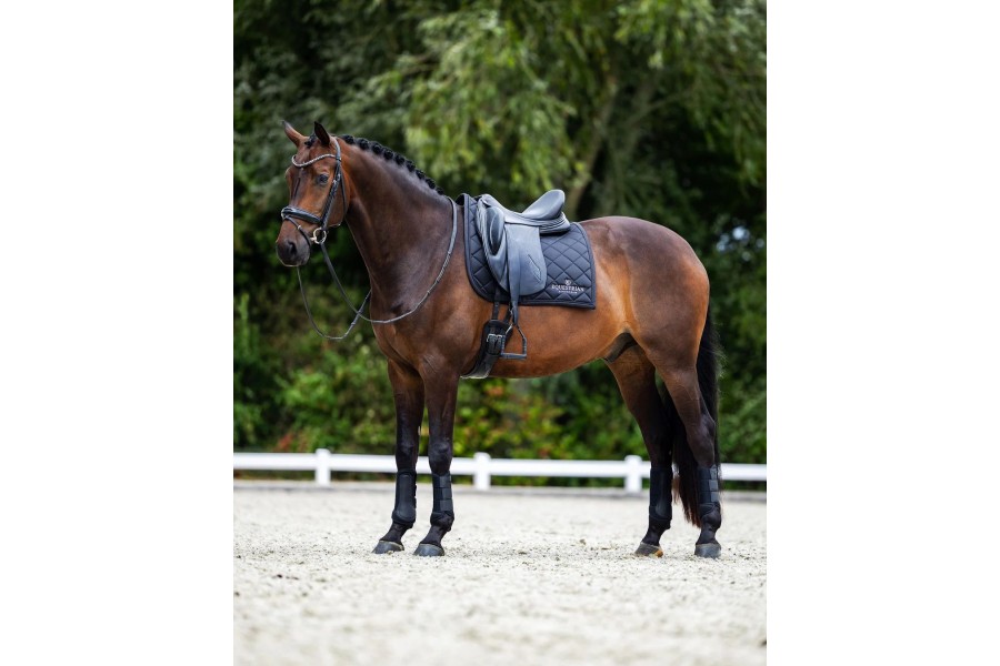 Sudadero Doma Equestrian Stockholm Line Negro