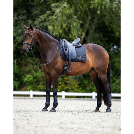 Suador Doma Equestrian Stockholm Line Negre