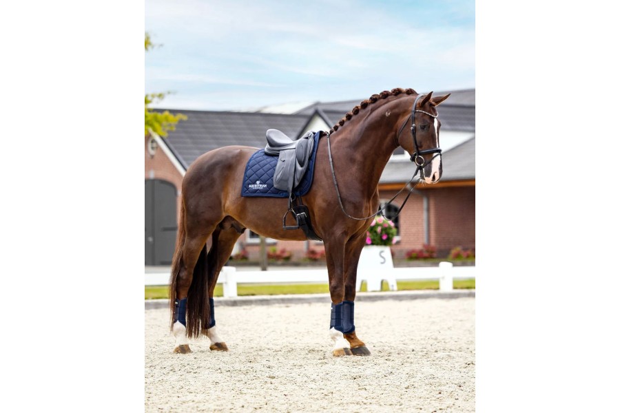 Suador Doma Equestrian Stockholm Line Midnight...