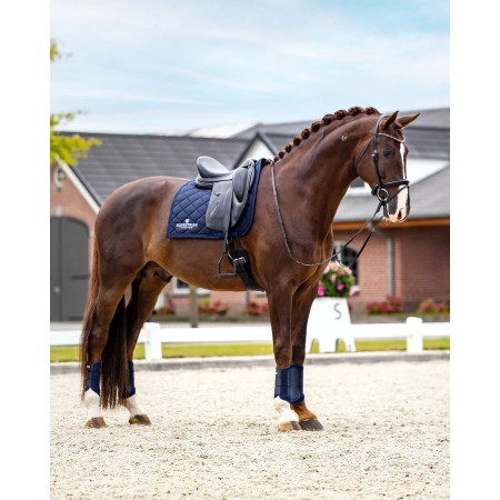 Suador Doma Equestrian Stockholm Line Midnight Blue