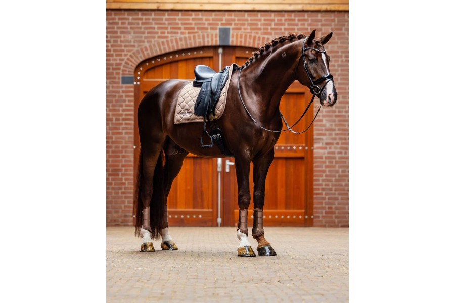 Suador Doma Equestrian Stockholm Line Champagne