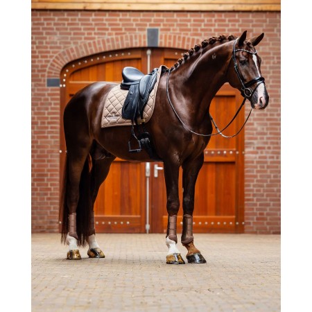 Sudadero Doma Equestrian Stockholm Line Champagne