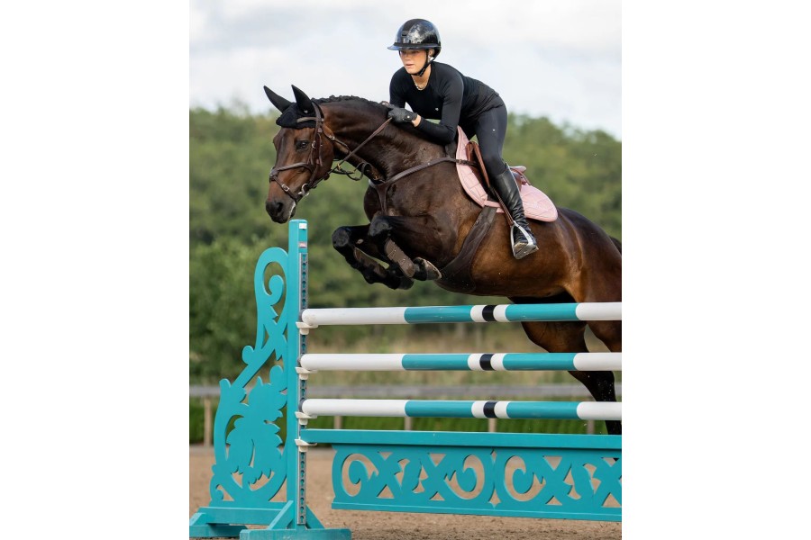 Sudadero Salto Equestrian Stockholm Line Pink
