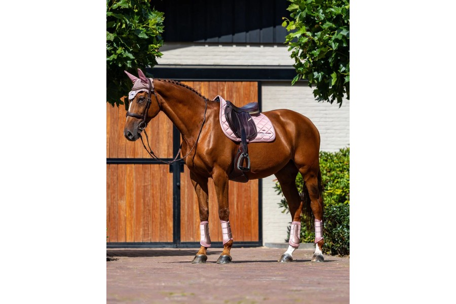 Sudadero Salto Equestrian Stockholm Line Pink