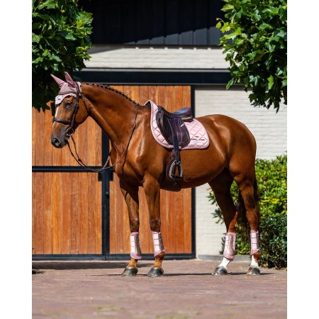 Sudadero Salto Equestrian Stockholm Line Pink