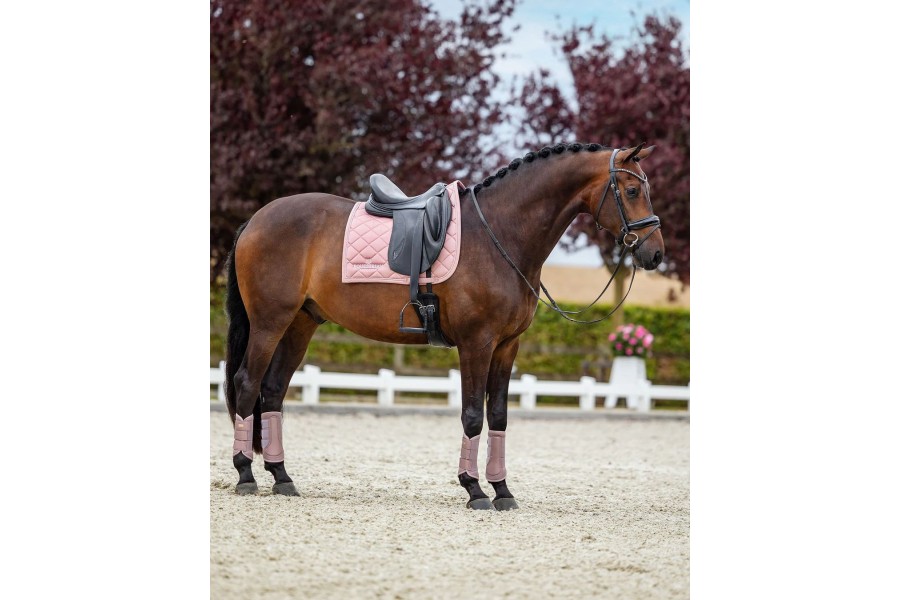 Suador Doma Equestrian Stockholm Line Pink