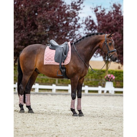 Sudadero Doma Equestrian Stockholm Line Pink