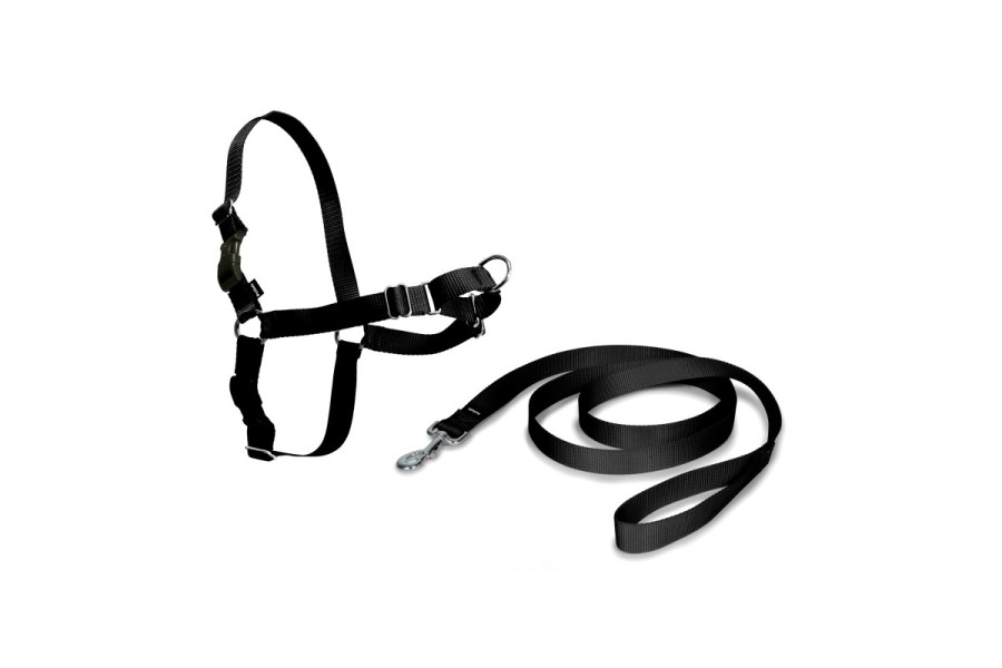 Arnés Easy Walk Negro