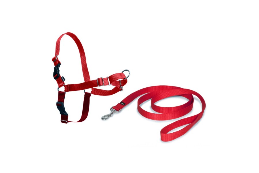 Arnés Easy Walk Rojo