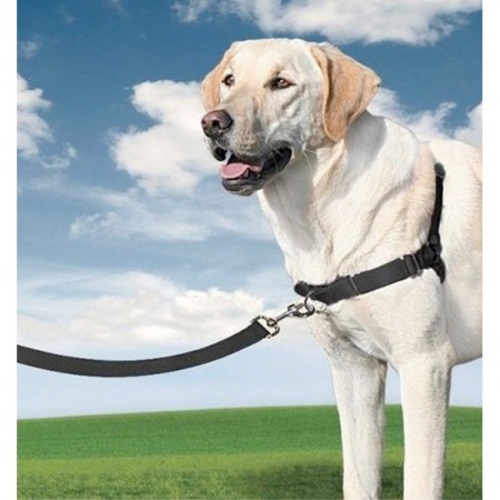 Arnés Easy Walk Negro 2