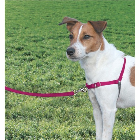Arnés Easy Walk Rosa 2