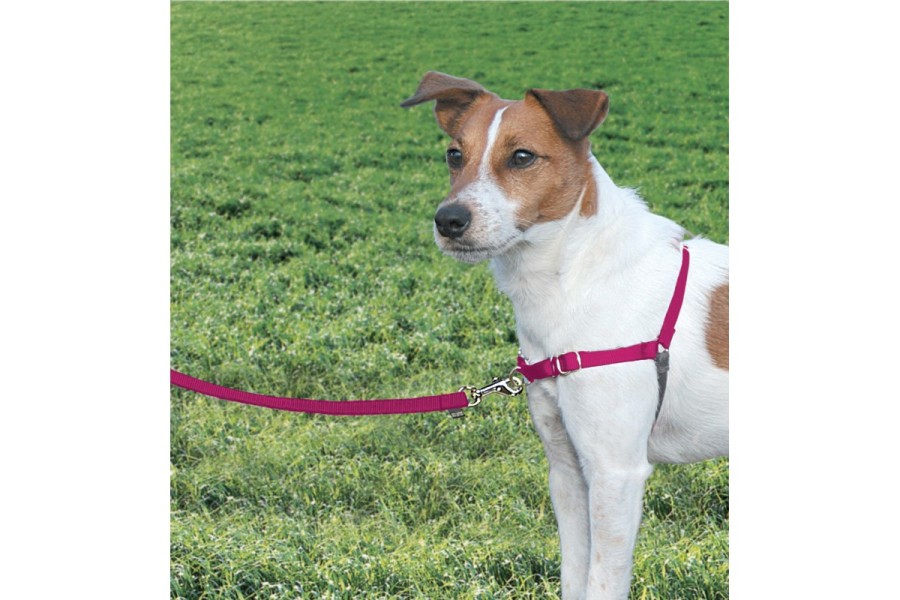 Arnés Easy Walk Rosa