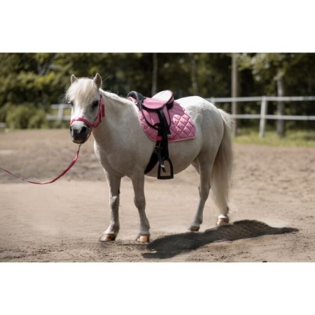 Silla Inglesa HKM Lucy Rosa Completa 2