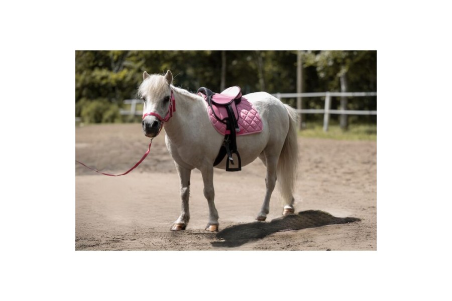 Silla Inglesa HKM Lucy Rosa Completa