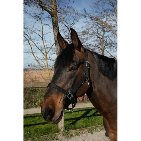 Morralla Quadra Norton Dream Negra