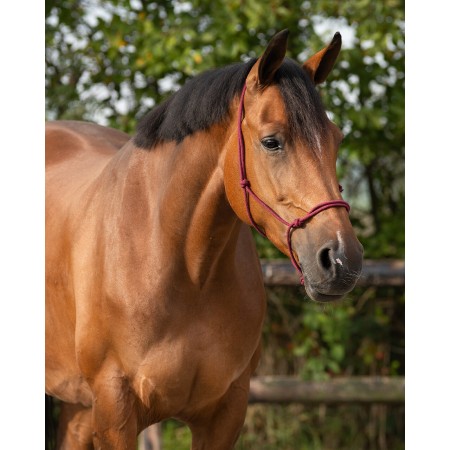 Morralla Quadra Corda QHP Basic Burdeos