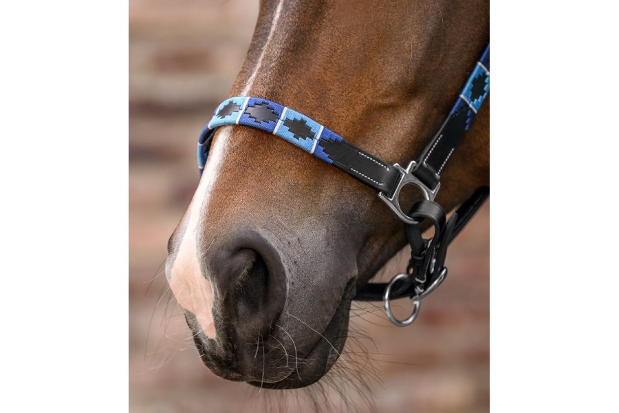 Cabezada Cuadra Cuero Polo Negra Azul