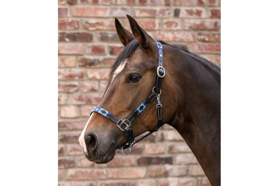 Cabezada Cuadra Cuero Polo Negra Azul