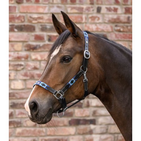 Cabezada Cuadra Cuero Polo Negra Azul