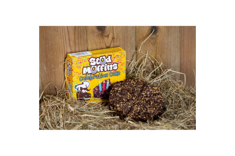 Premis Cavall Stud Muffins Pastís Aniversari