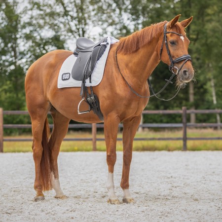 Sudadero Doma QHP Con Números Competición Blanco