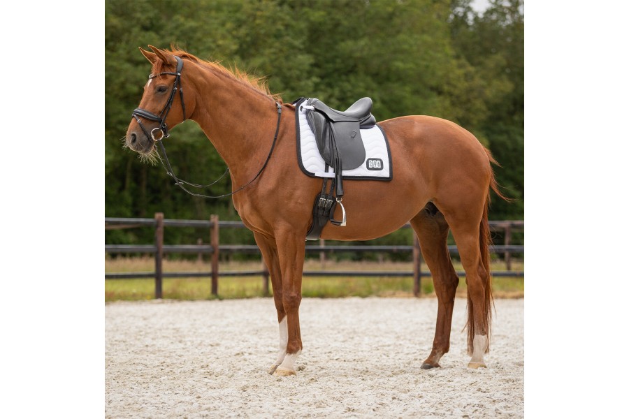 Sudadero Doma QHP Con Números Competición Negro Blanco