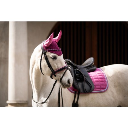 Brida Montar HKM Manchester Negra Fucsia