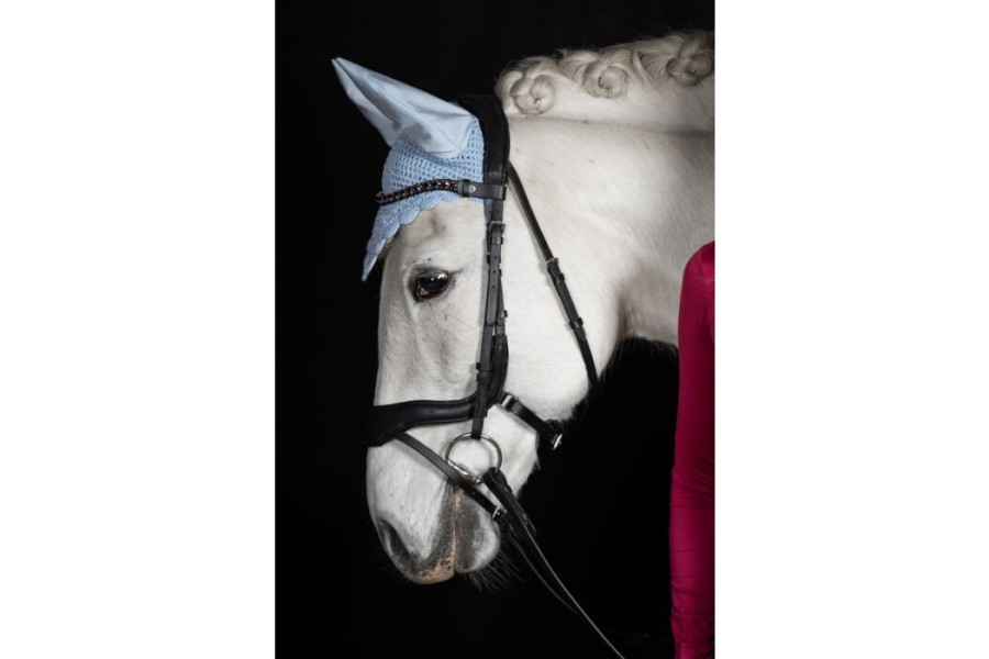 Orejreas HKM Manchester Azul Cielo