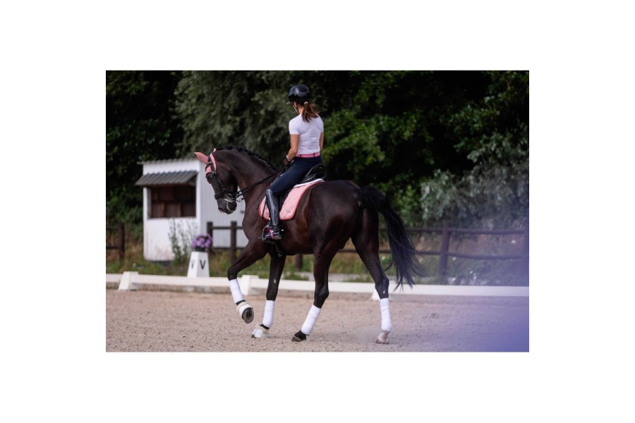 Correas Espuelas Metalab FLexicare 45 Cm Rosa