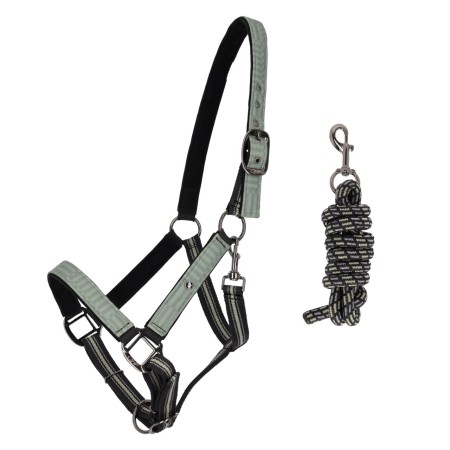 Morralla Quadra QHP + Ramal Lineair Motion