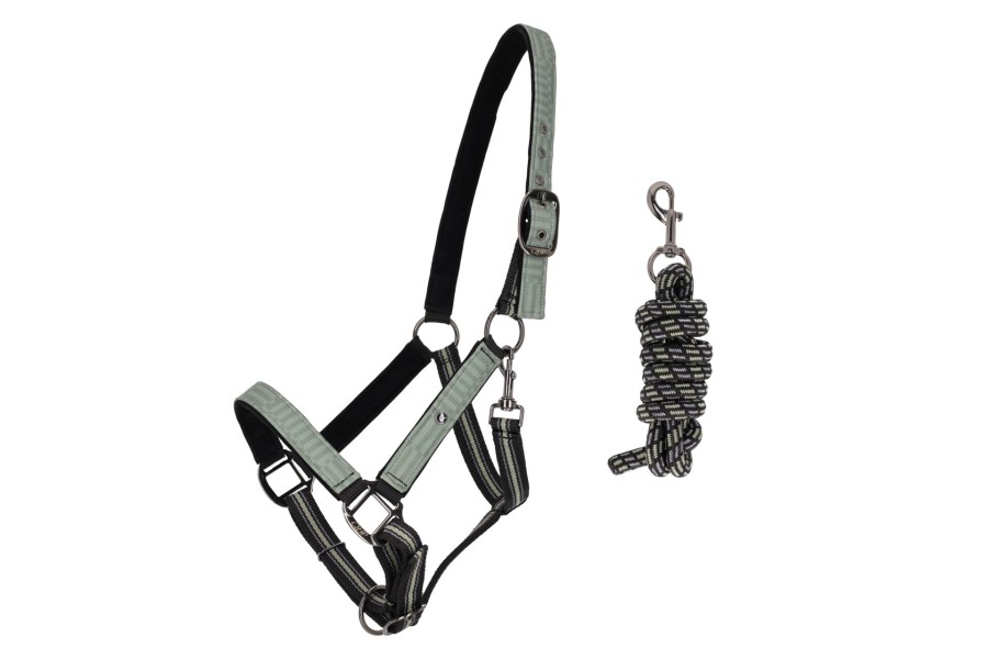 Morralla Quadra QHP + Ramal Lineair Motion